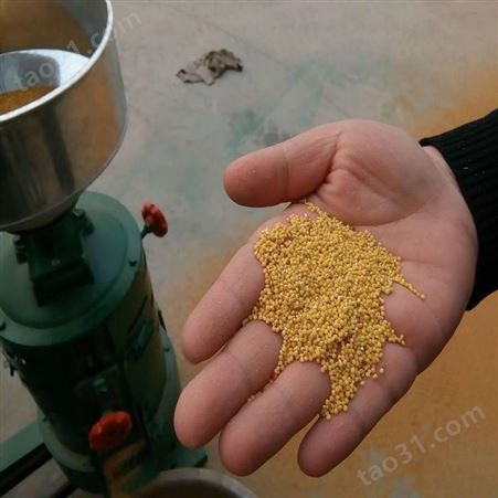 大型碾米机厂家 大产量谷子打米机 磨米机视频效果