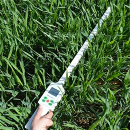 聚创环保 JC- PAR植物冠层测定仪 植物冠层检测仪