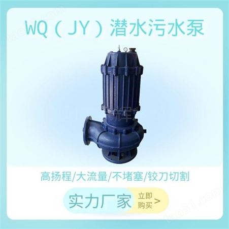 标准型污水排污泵 100WQ80-25-11污水污物潜水电泵 抗阻塞潜污泵 韩辉
