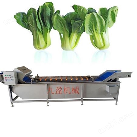 广州九盈洗菜机现货  蔬菜清洗机厂家  旋流清洗机 涡流洗菜机