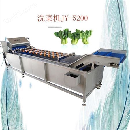广州九盈洗菜机现货  蔬菜清洗机厂家  旋流清洗机 涡流洗菜机