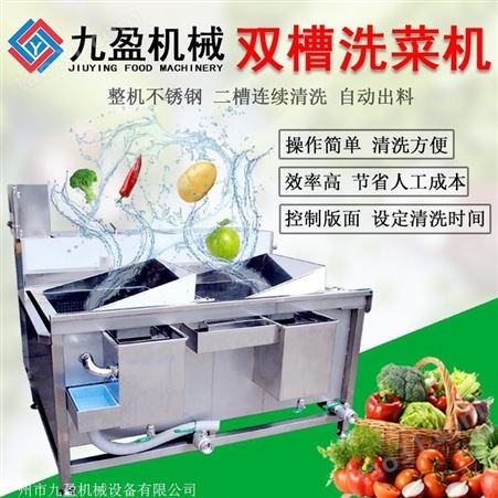 九盈两槽洗菜机TJ-200-2 洗小龙虾设备 西兰花清洗机