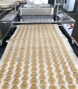 饼干生产线 韧性饼干成型机 上海酥性设备