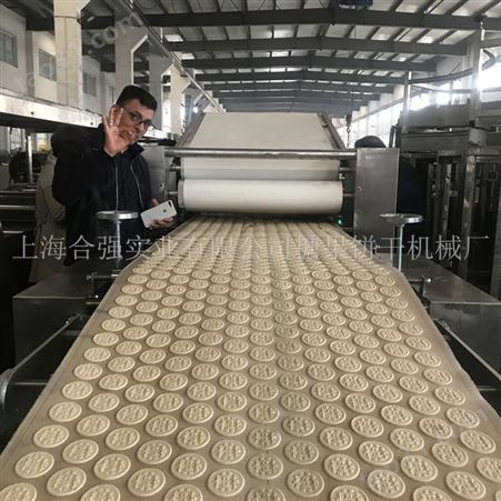 上海合强供应 全自动饼干生产线 饼干机隧道炉