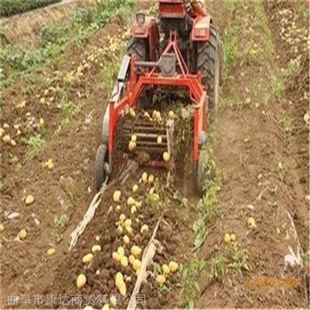 安徽四轮土豆收获机 多功能地瓜红薯收获机 根茎类药材收获机