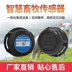 智慧养殖电子耳标 牛羊猪测温RFID识别 牛养猪畜牧耳标