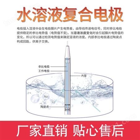 水溶液复合电极 离子计 全身防水高精度工业离子选择性电极