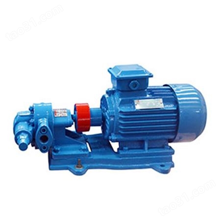 定制 小流量齿轮泵 高温齿轮油泵 食品输送泵 支持定制