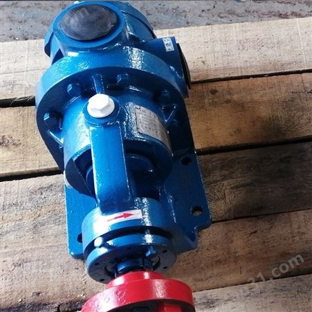 立式齿轮泵 不锈钢304齿轮泵 高压齿轮泵 匠心工艺