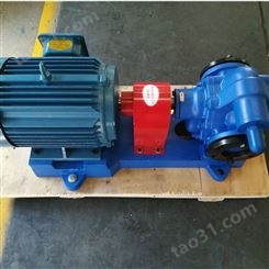 长期供应 保温型齿轮泵 齿轮泵 KCB不锈钢泵 可订购