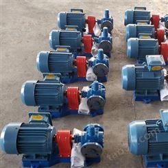 船用圆弧齿轮泵 高速齿轮泵 按需出售 齿轮泵油泵 可订购