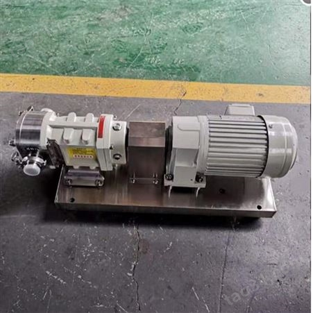 按需供应 15ZZB6-3凸轮转子泵 贴心售后 NYP0.78转子泵 高黏度转子泵