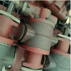 按需供应 不锈钢齿轮油泵 保温型齿轮泵 圆弧齿轮油泵 诚信经营