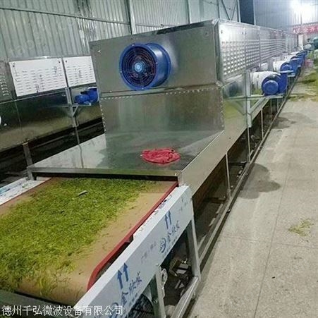 武汉上海微波干燥设备生产厂家