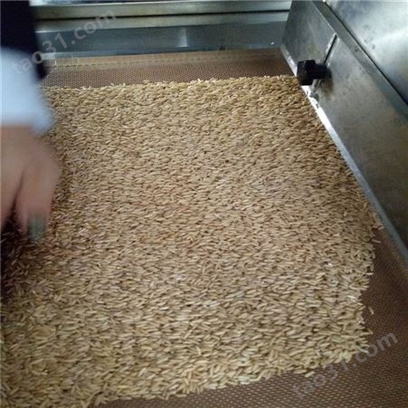黑米、黑豆熟化设备  五谷杂粮低温烘焙设备