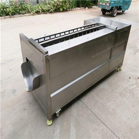 天津薯条土豆去皮清洗机 小型土豆条速冻去皮机 去皮机200公斤产量