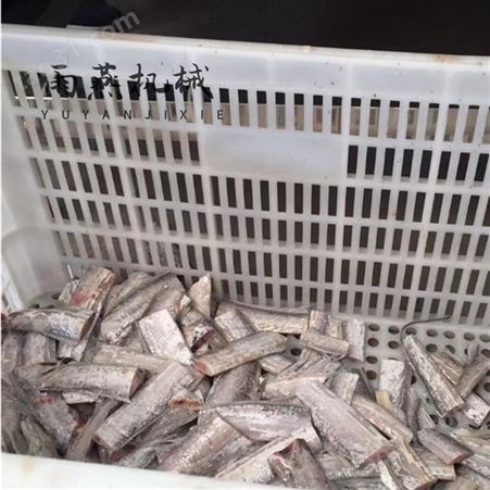 全自动带鱼切段机 冷冻鱼切段机器 雨燕 连续式切刀鱼段机