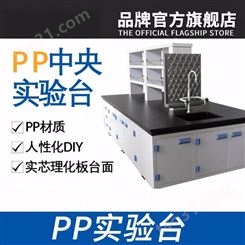 陕西实验室厂 定制生产PP实验台 PP实验台 送货上门