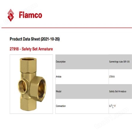 Flamco 阀27918 - Safety Set Armature Flamco压力表