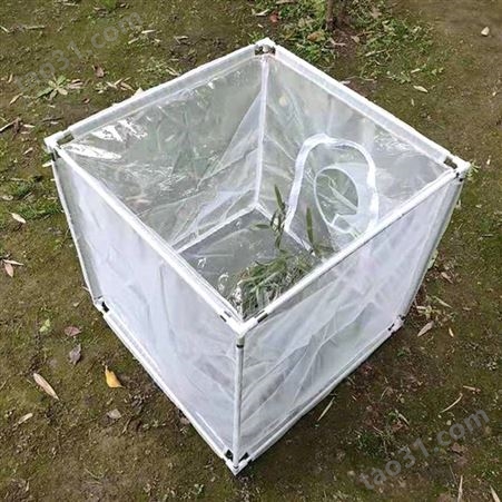 不锈钢养虫笼蚊蝇饲养笼 顶部透明布更易观察结实昆虫饲养