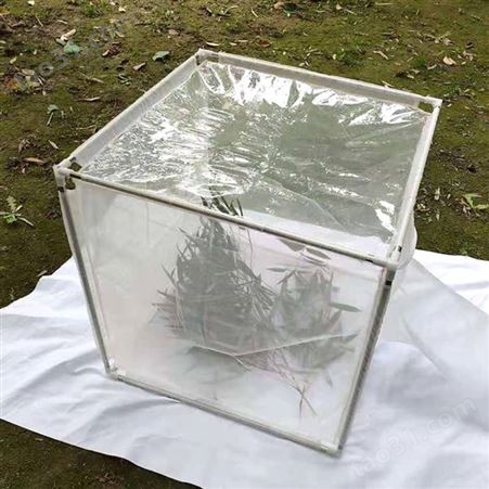 不锈钢养虫笼蚊蝇饲养笼 顶部透明布更易观察结实昆虫饲养