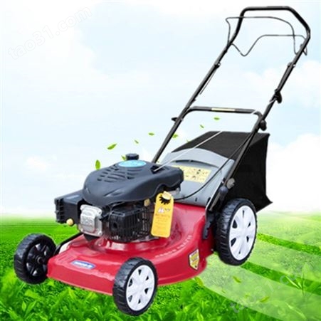 景区草坪修剪机 自走式园林绿地割草机 家用汽油除草剪草机