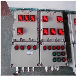BXMD53-8K复合式防爆照明配电箱 组合式防爆动力配电箱 4/6/8回路