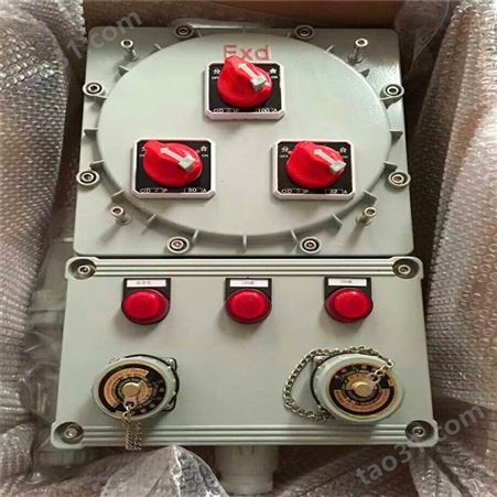 防爆动力检修箱 BXMD-4/100KXX防爆照明动力检修箱 多回路可定做