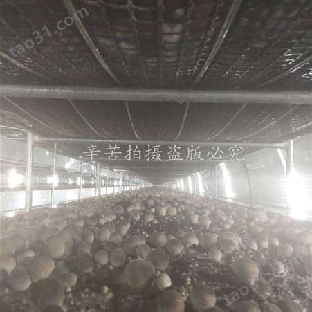  食用菌多能环境空调机 蘑菇房空调 金葫装备