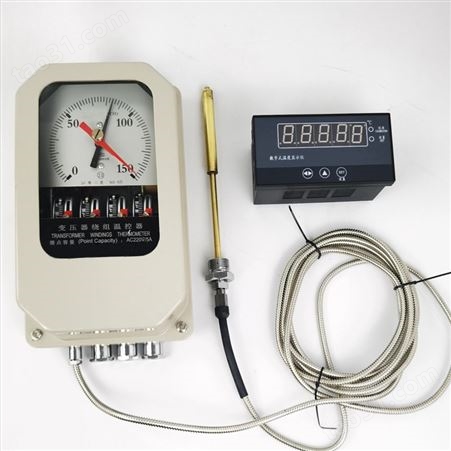 河北温度指示控制器 BWY-802A(TH)/XMT
