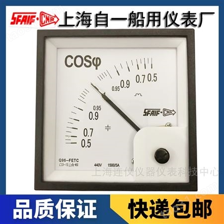 上海自一船用仪表有限公司Q192-ZC直流电流电压表