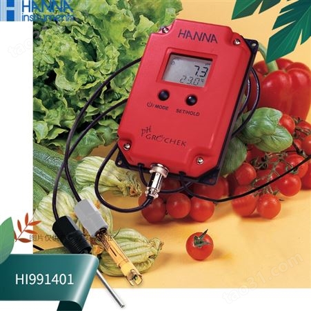 HI991401意大利HANNA哈纳pH控制器汉钠酸度计