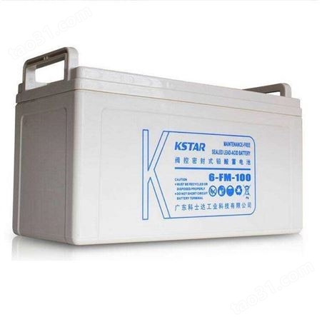 科士达KSTAR蓄电池6-FM-55 12V55AH 阀控式免维护应急电源蓄电池