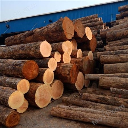 木方厂家 日照呈果建筑木方生产厂家 5x9白松建筑木方