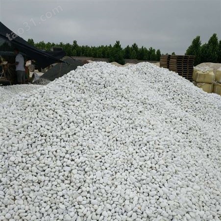 河北 批发鹅卵石 鹅卵石厂家白色鹅卵石 白色鹅卵石介绍 白色鹅卵石价格