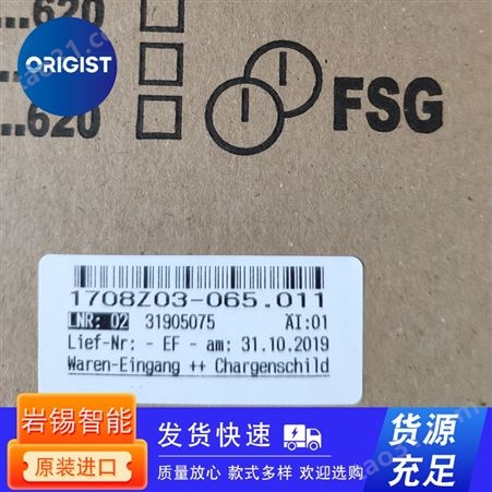 FSG电阻计5720Z02-003.004