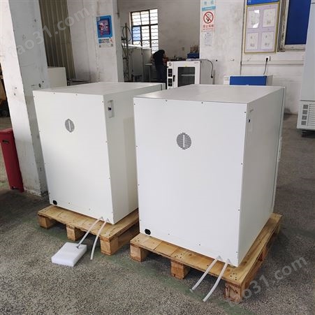 天翎仪器DHP-9162N电热恒温培养箱生物培养箱菌种储存箱