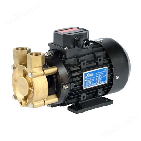 WD-10-200高温导热油泵