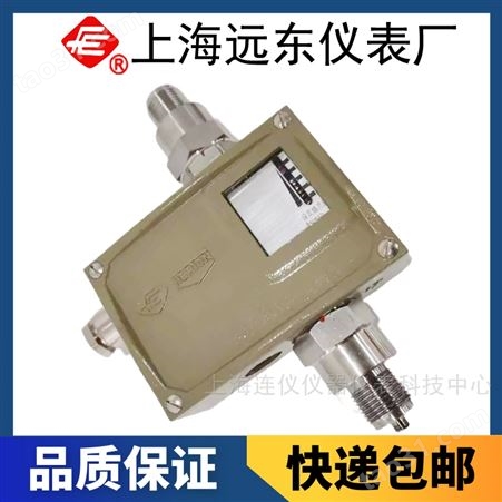 上海远东仪表厂D502/7D压力控制器0851880防爆型