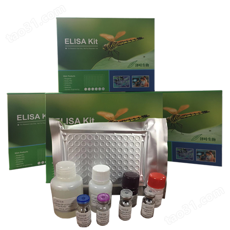 全国销售 Human ELISA Kit（NUDC）（ZY-E60688H）人ELISA试剂盒