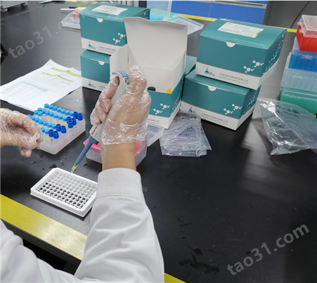 猪口蹄疫O型病毒抗体检测试剂盒