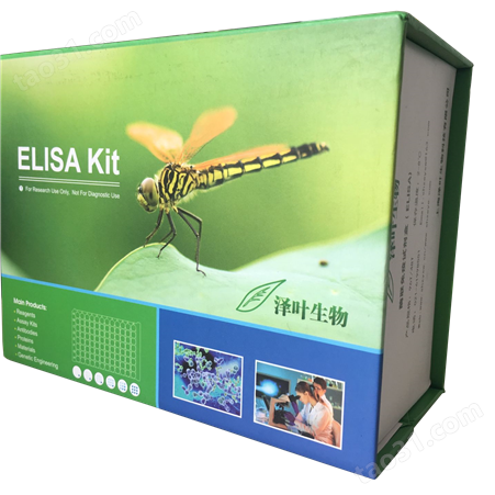 Human （Barkor）ELISA Kit（ZY-E6639H）ELISA试剂盒