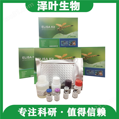 全国销售 Human ELISA Kit（OBSCN）（ZY-E60740H）人 ELISA试剂盒