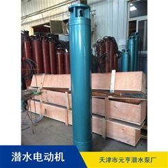 批量供应天津市卧式灌溉用1234/4系列潜水电机